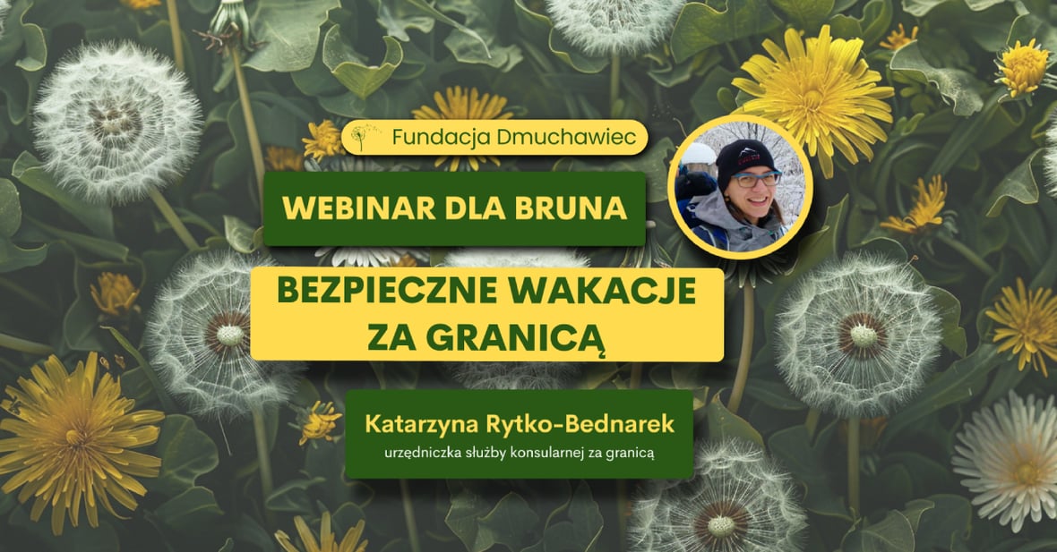 Zdjęcie główne wgrane przez użytkownika