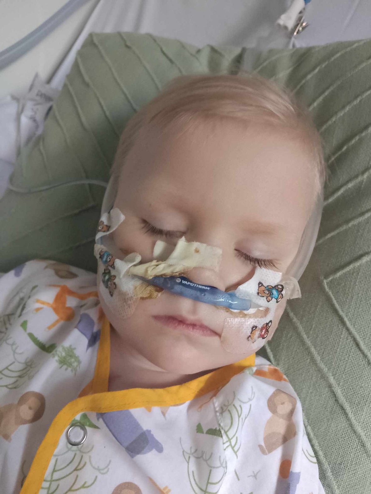 Zdjęcie główne wgrane przez użytkownika