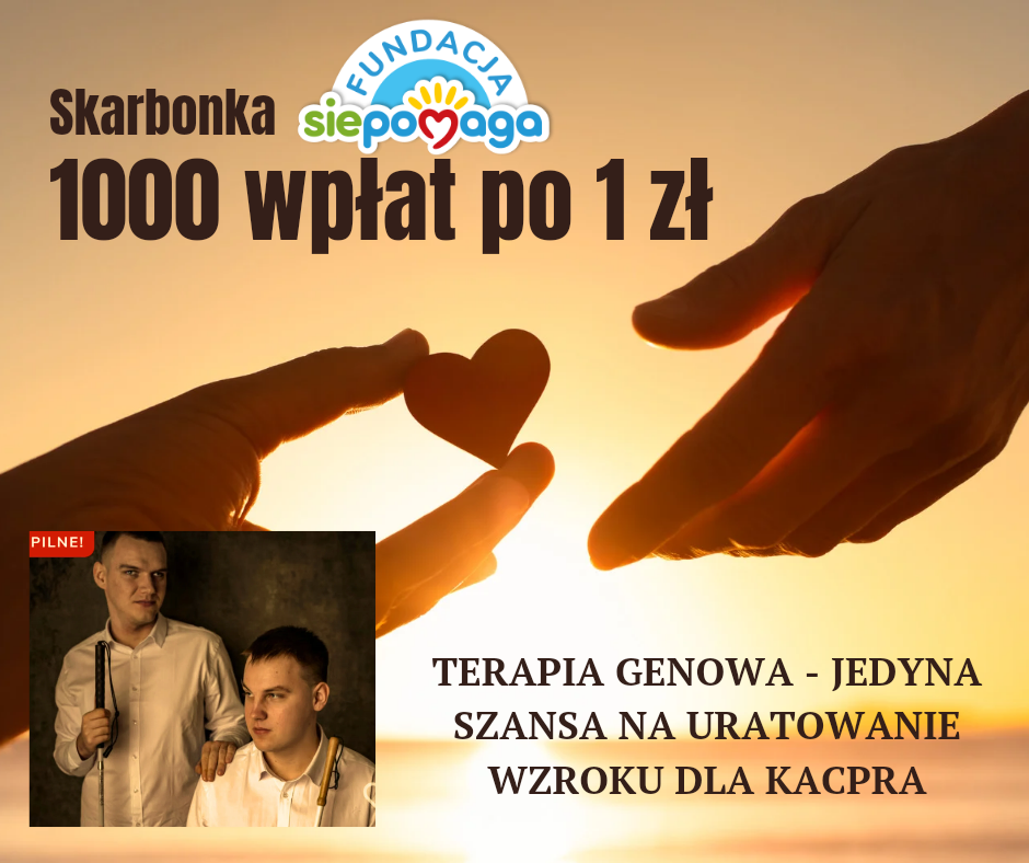 Zdjęcie główne wgrane przez użytkownika