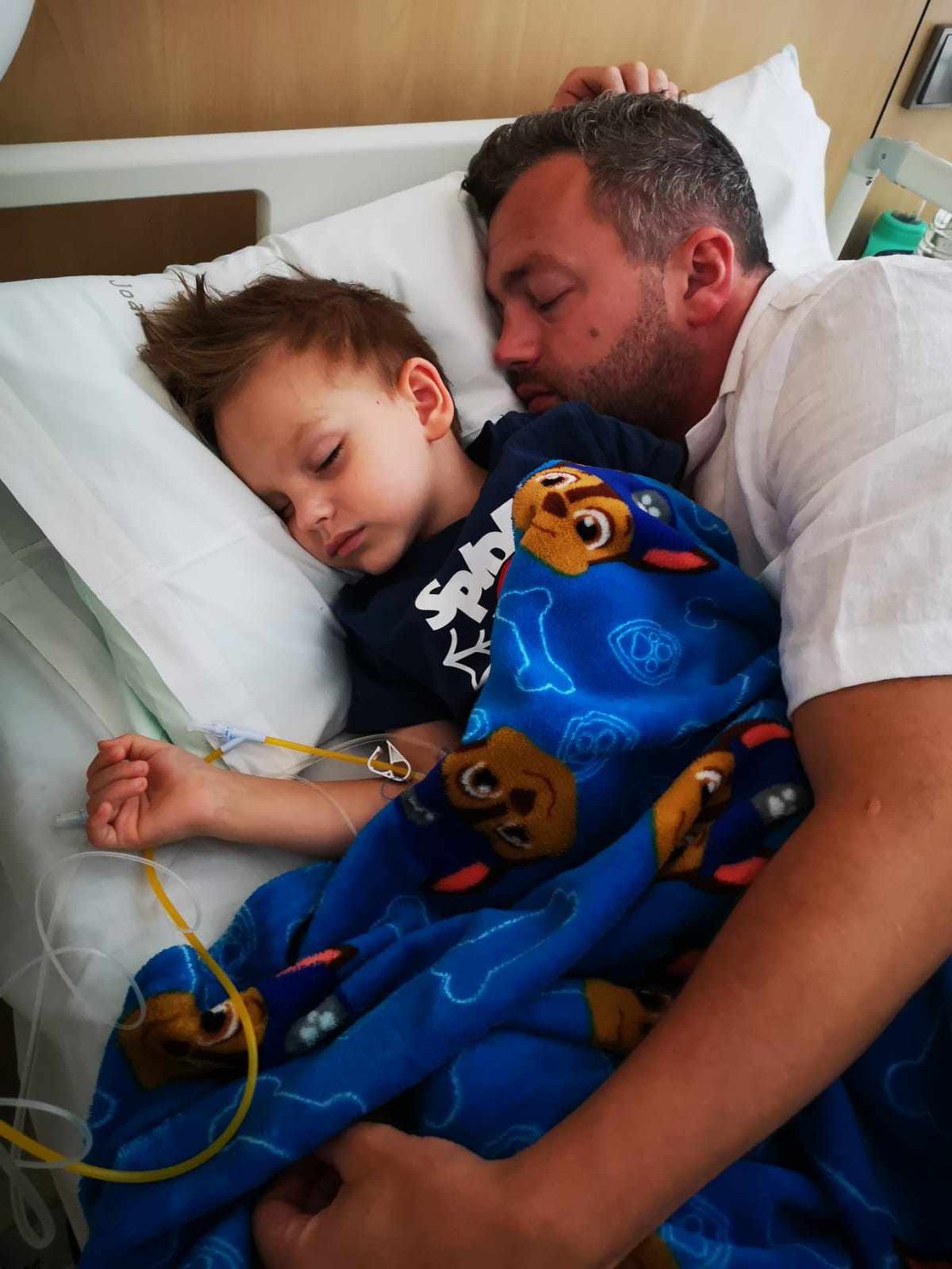 Zdjęcie główne wgrane przez użytkownika