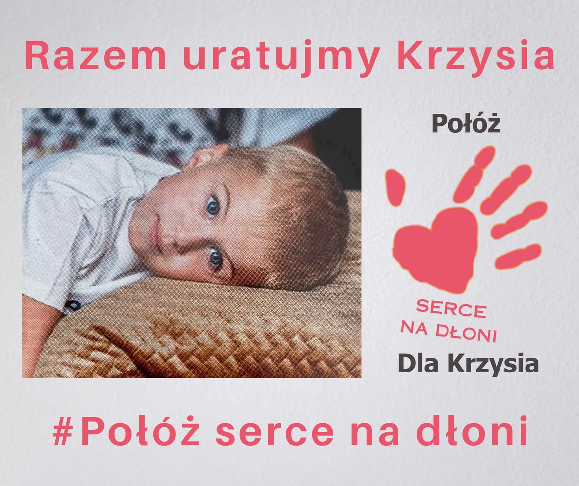 Zdjęcie główne wgrane przez użytkownika