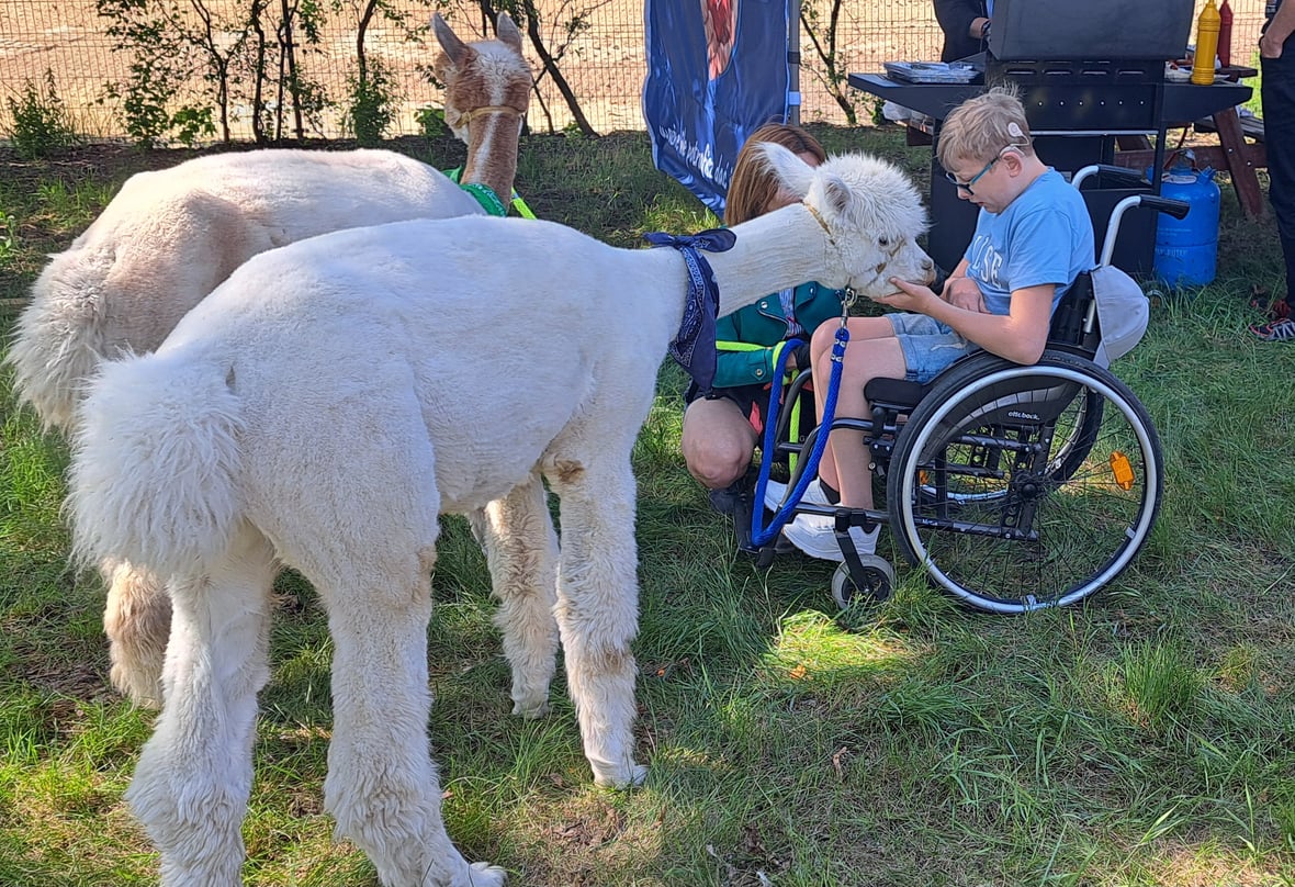 Main photo uploaded by the user