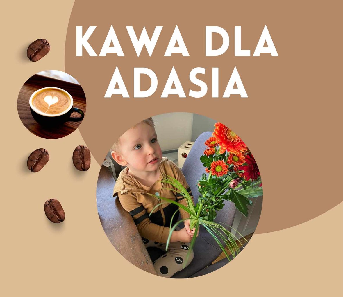 Zdjęcie główne wgrane przez użytkownika