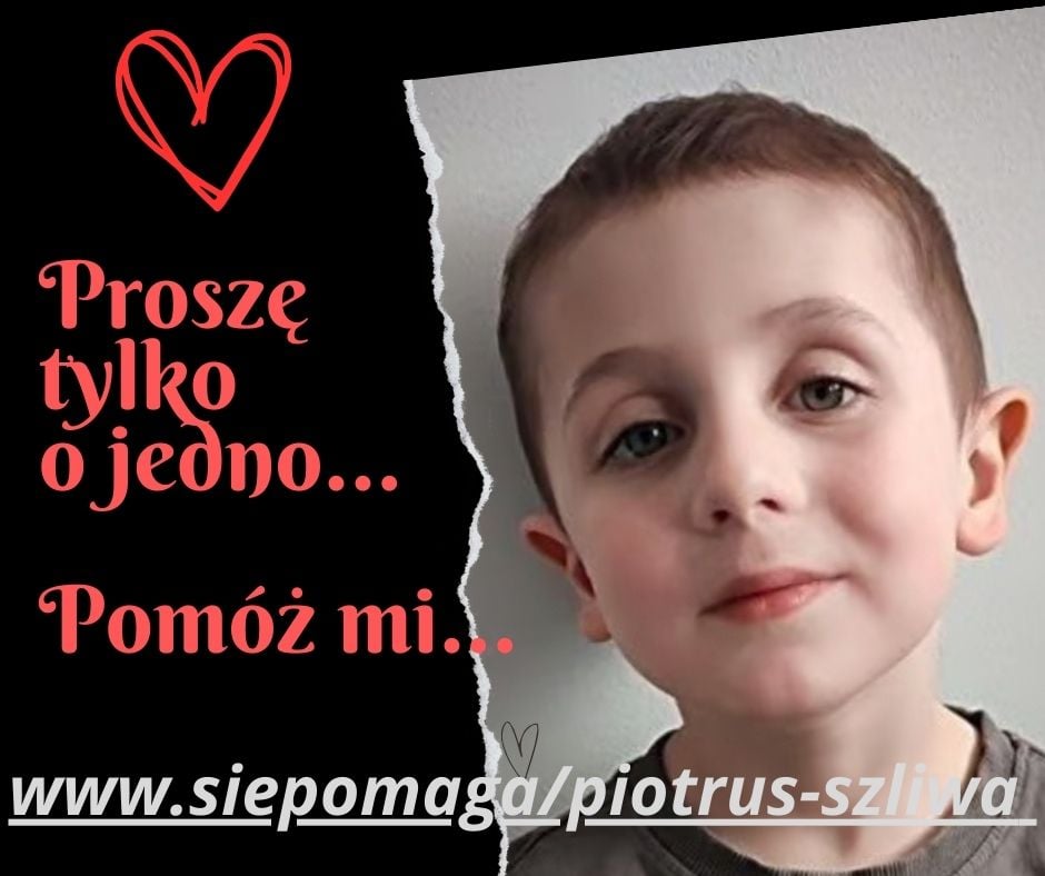 Zdjęcie główne wgrane przez użytkownika