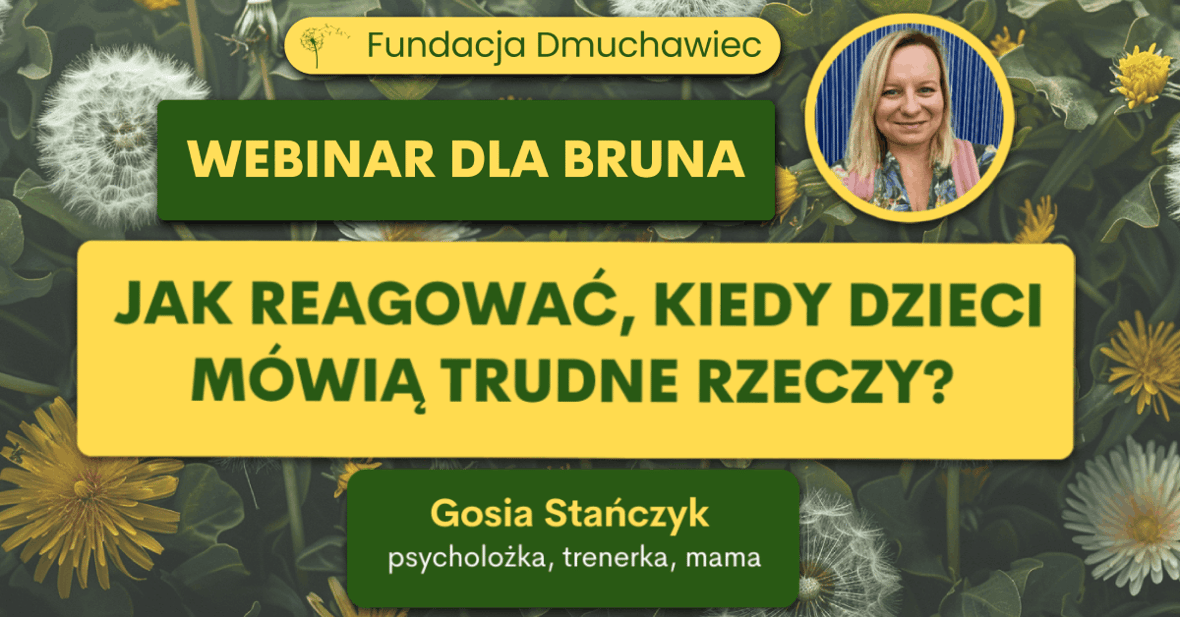 Zdjęcie główne wgrane przez użytkownika