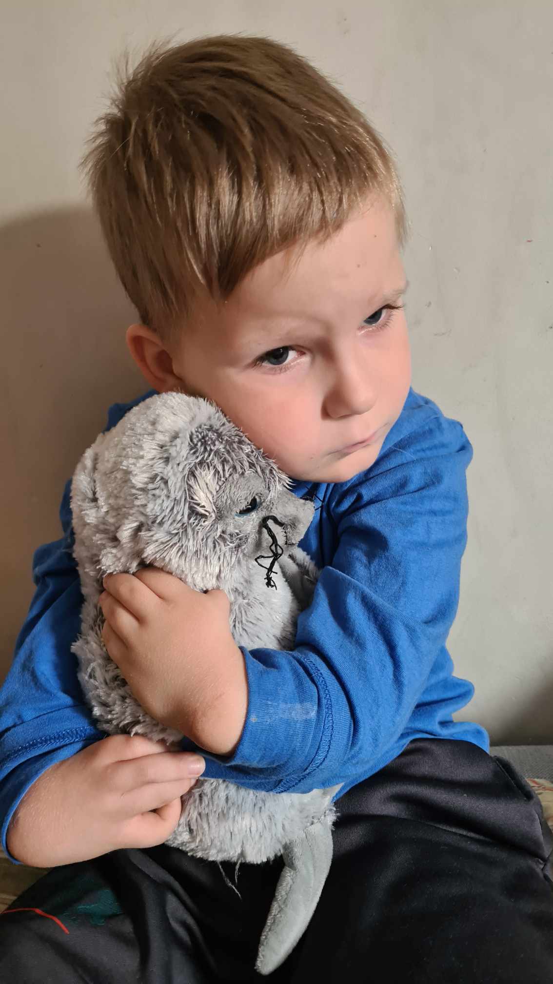 Main photo uploaded by the user