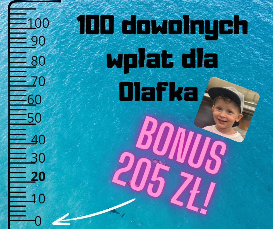 Main photo uploaded by the user