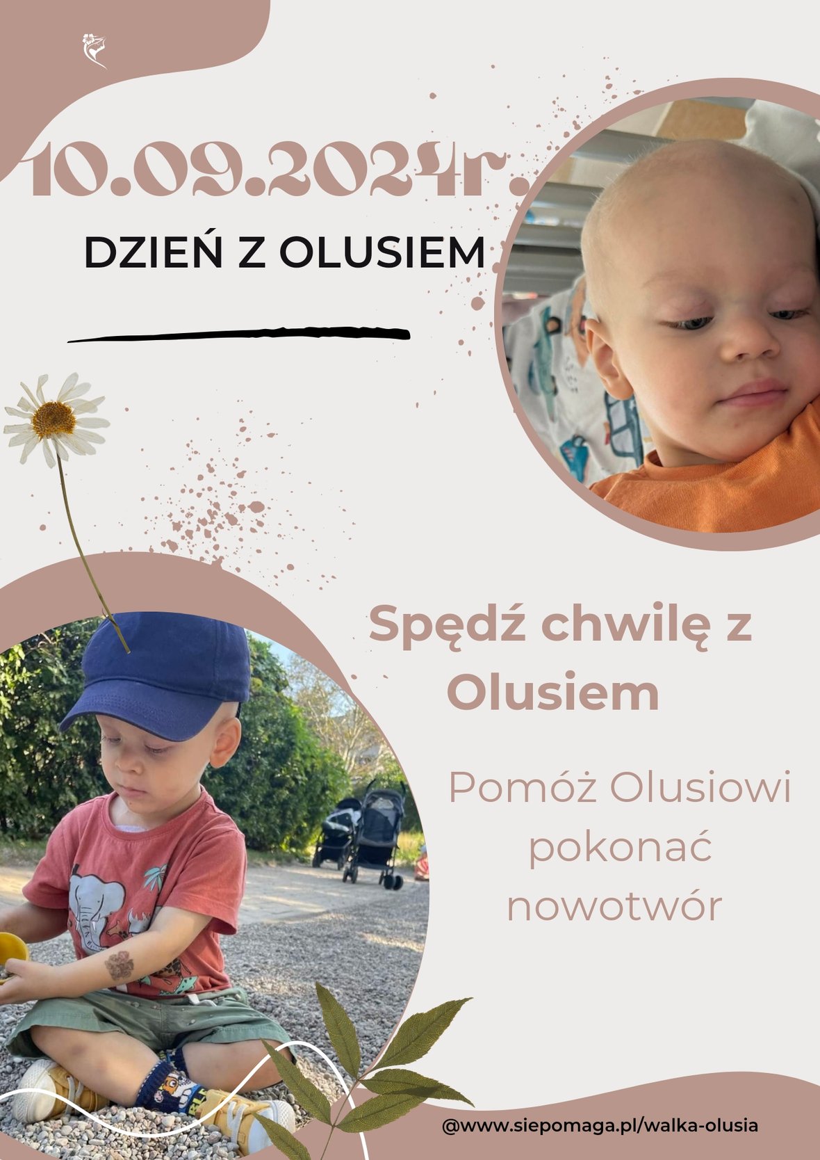 Zdjęcie główne wgrane przez użytkownika