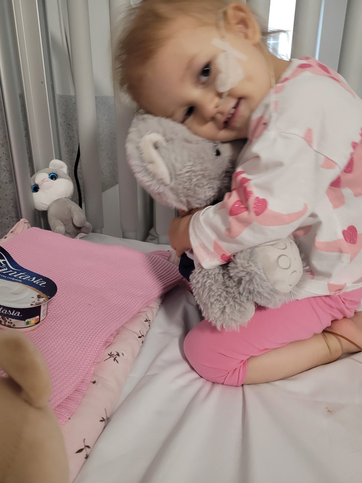 Zdjęcie główne wgrane przez użytkownika