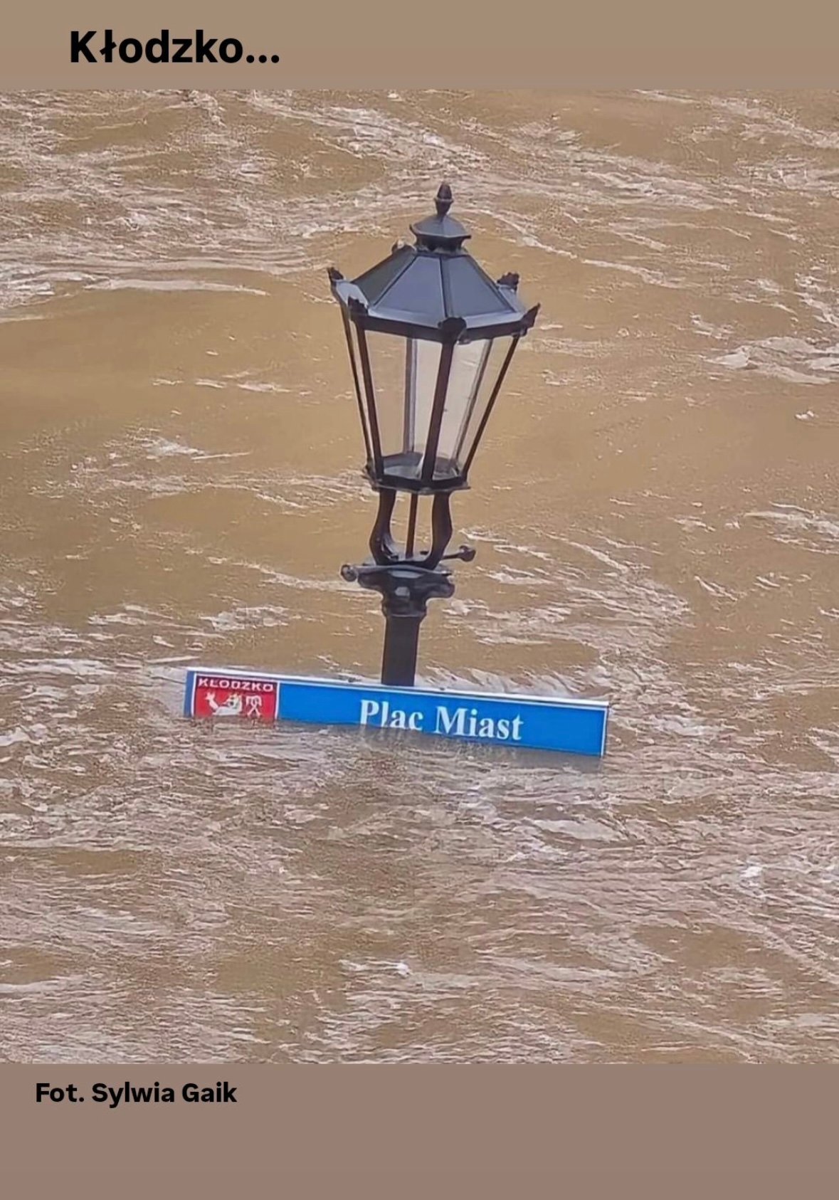 Zdjęcie główne wgrane przez użytkownika