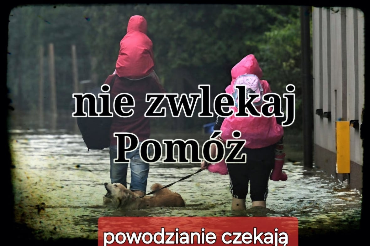 Zdjęcie główne wgrane przez użytkownika