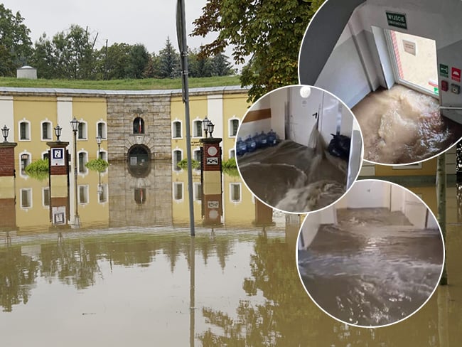 Zdjęcie główne wgrane przez użytkownika