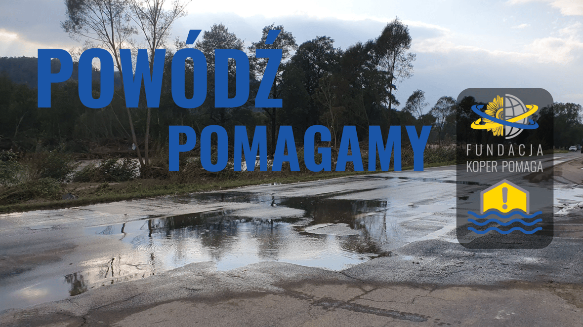 Zdjęcie główne wgrane przez użytkownika