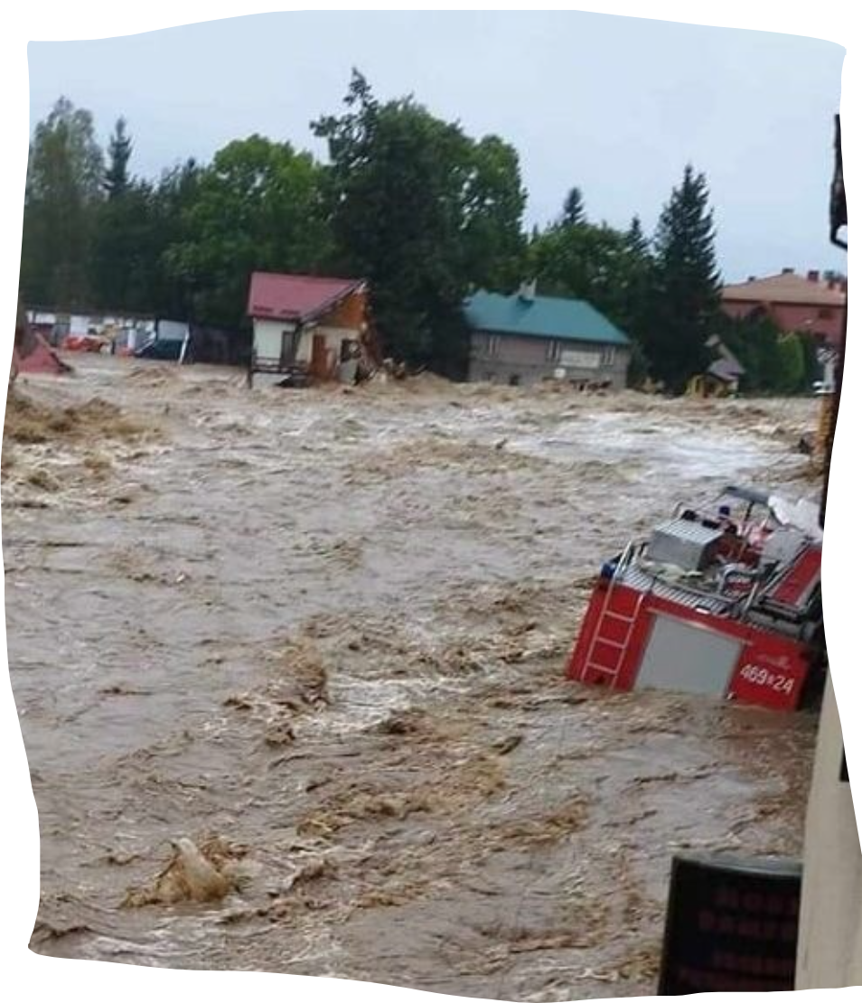Zdjęcie główne wgrane przez użytkownika