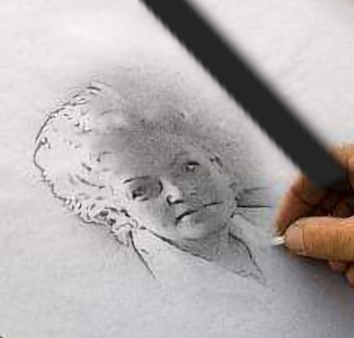 Zdjęcie główne wgrane przez użytkownika