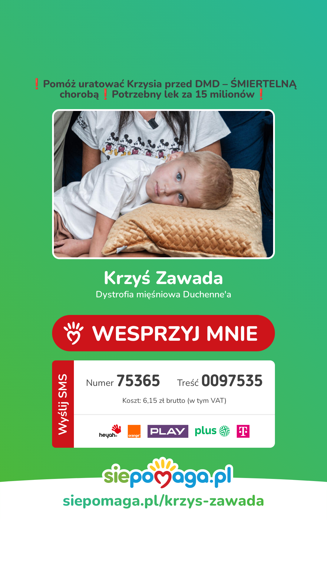 Zdjęcie główne wgrane przez użytkownika