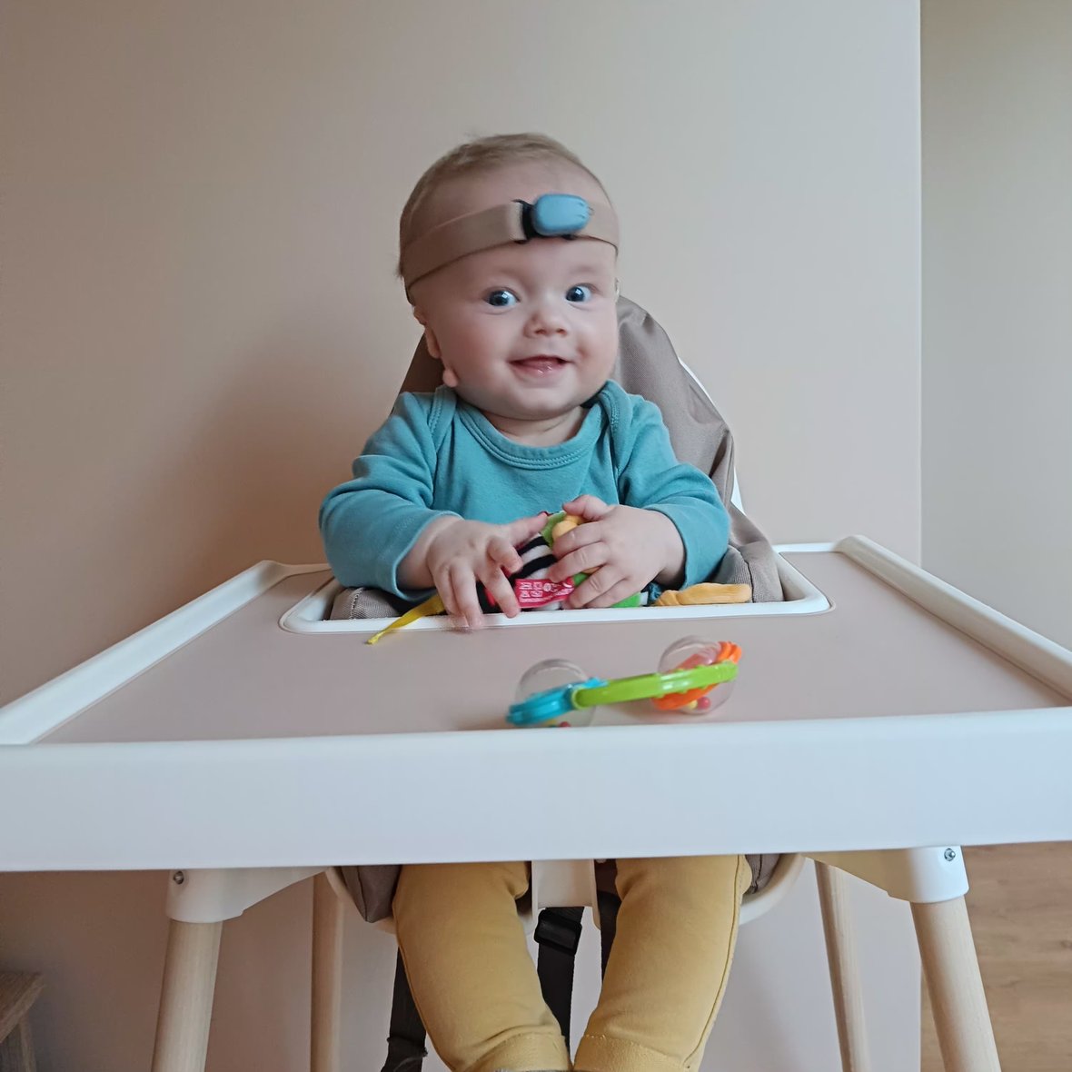 Zdjęcie główne wgrane przez użytkownika