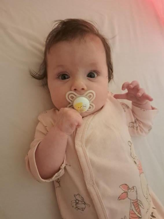 Zdjęcie główne wgrane przez użytkownika