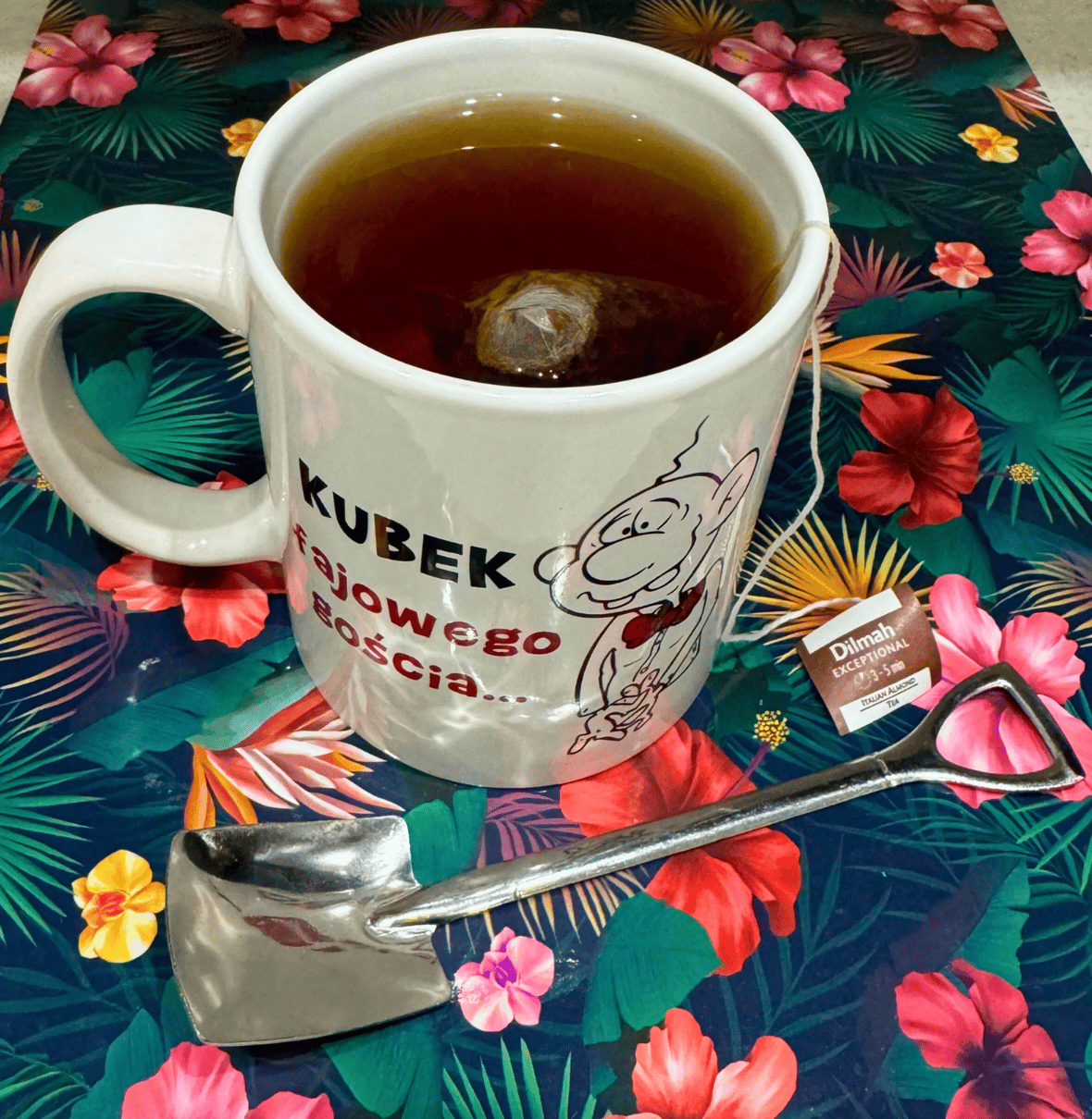 Zdjęcie główne wgrane przez użytkownika