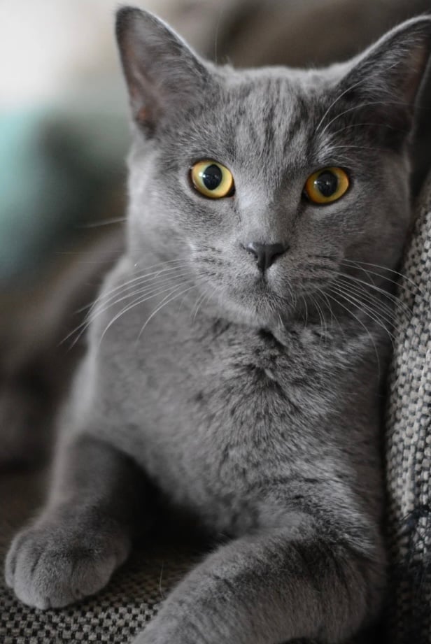 Zdjęcie główne wgrane przez użytkownika