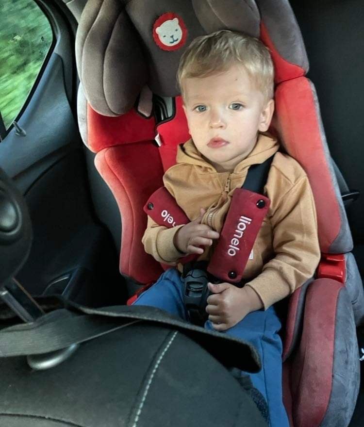 Zdjęcie główne wgrane przez użytkownika