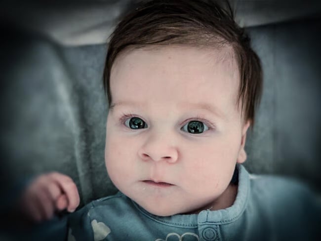 Zdjęcie główne wgrane przez użytkownika