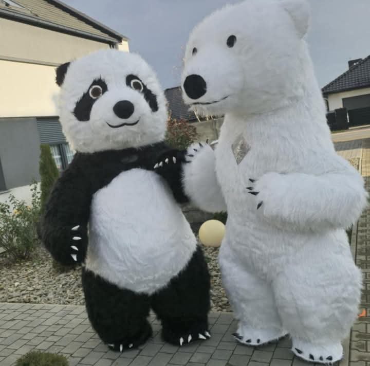 Zdjęcie główne wgrane przez użytkownika