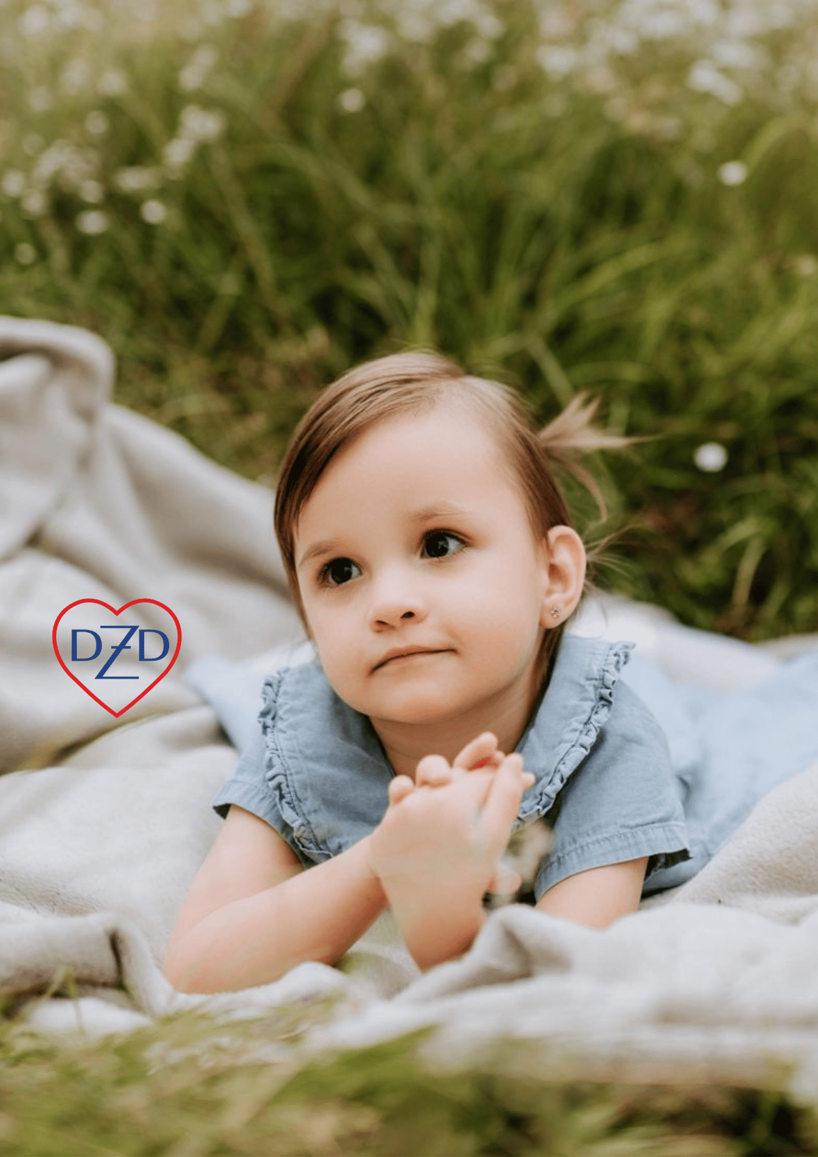 Zdjęcie główne wgrane przez użytkownika