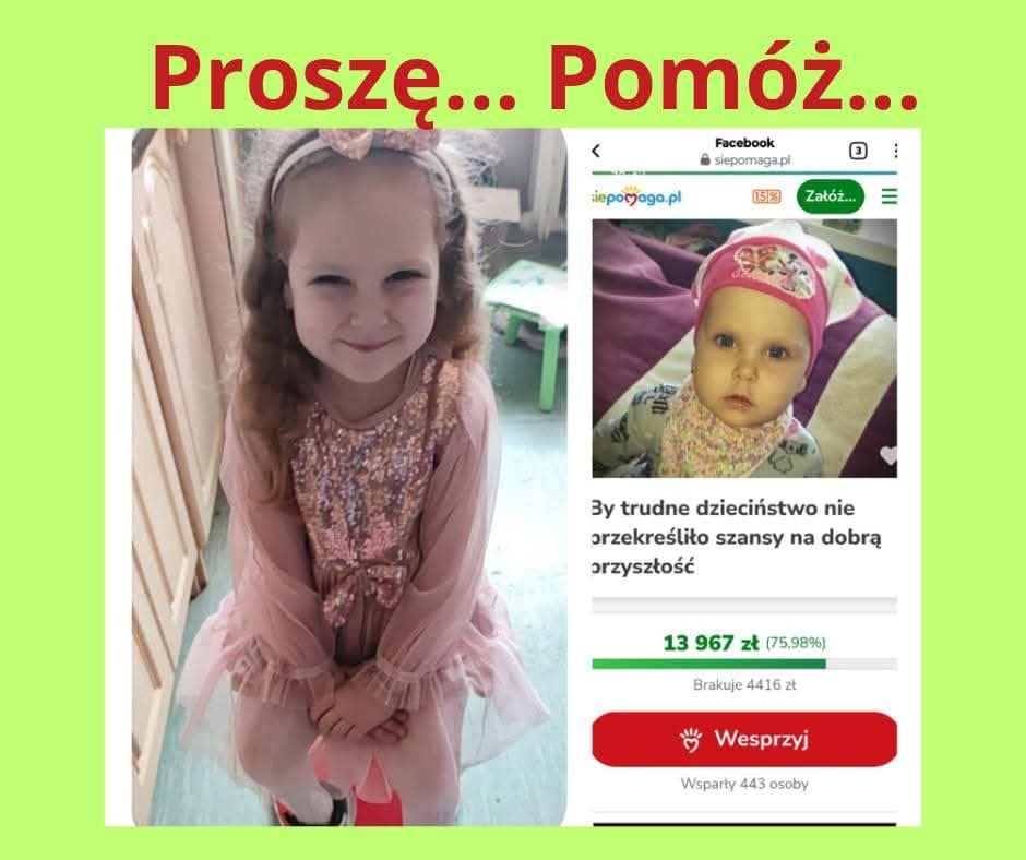 Zdjęcie główne wgrane przez użytkownika