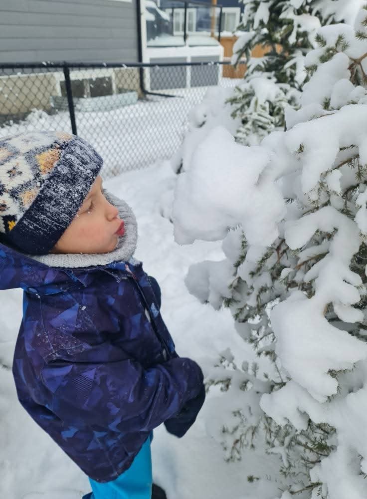 Zdjęcie główne wgrane przez użytkownika