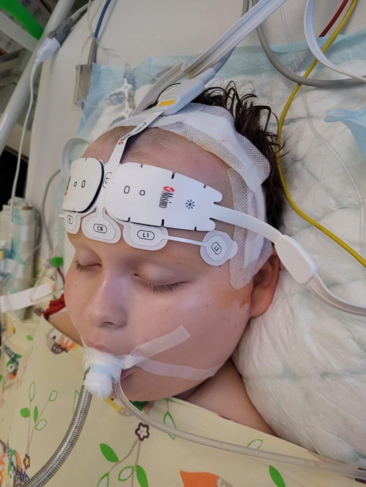 Main photo uploaded by the user