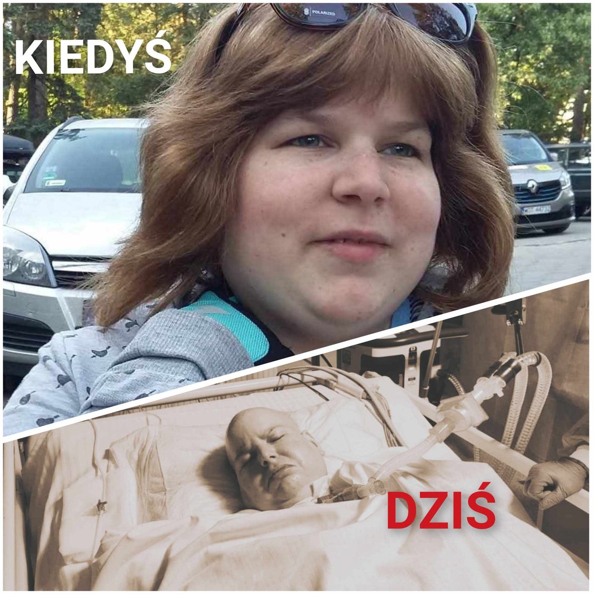 Zdjęcie główne wgrane przez użytkownika