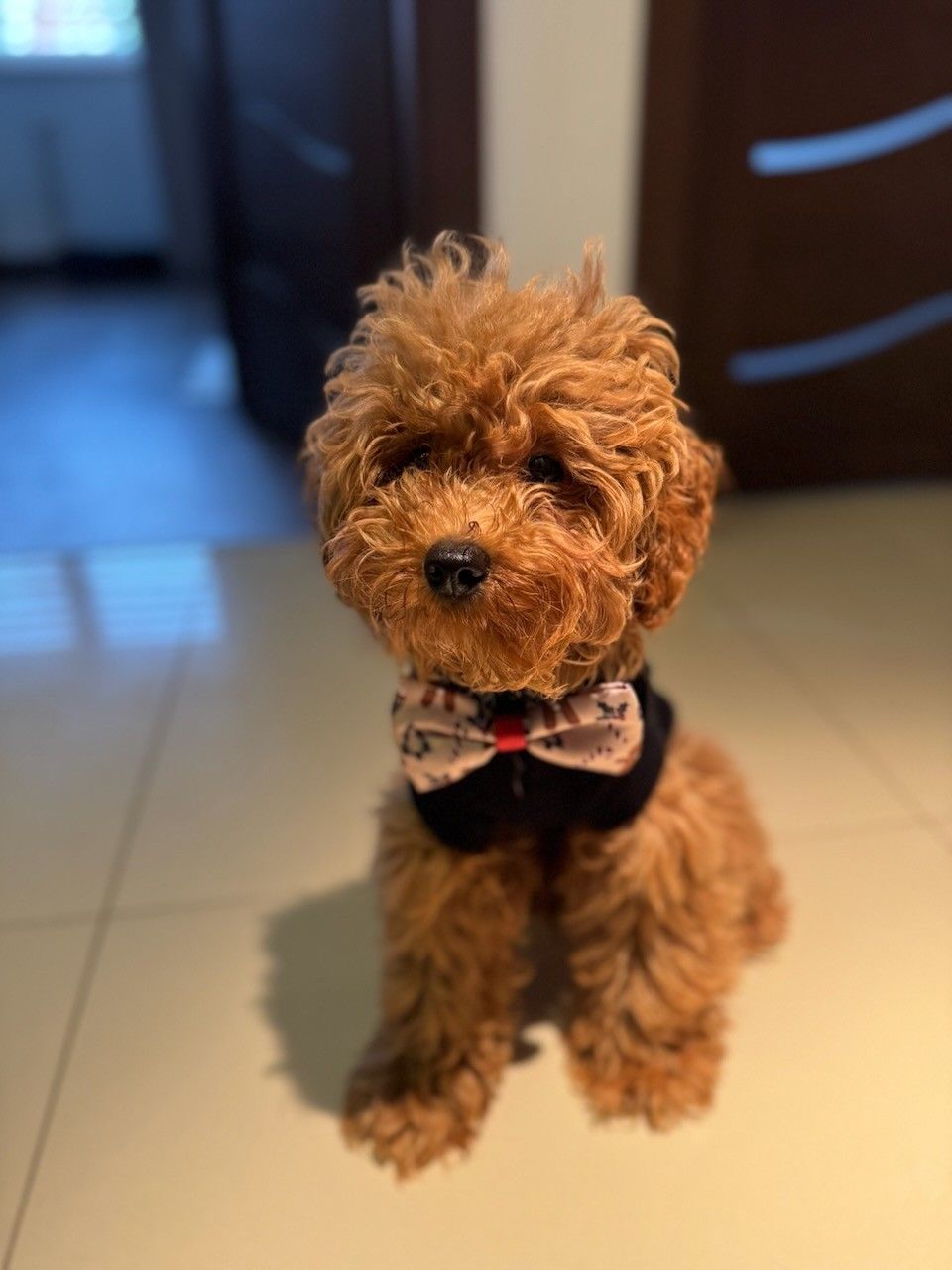 Zdjęcie główne wgrane przez użytkownika