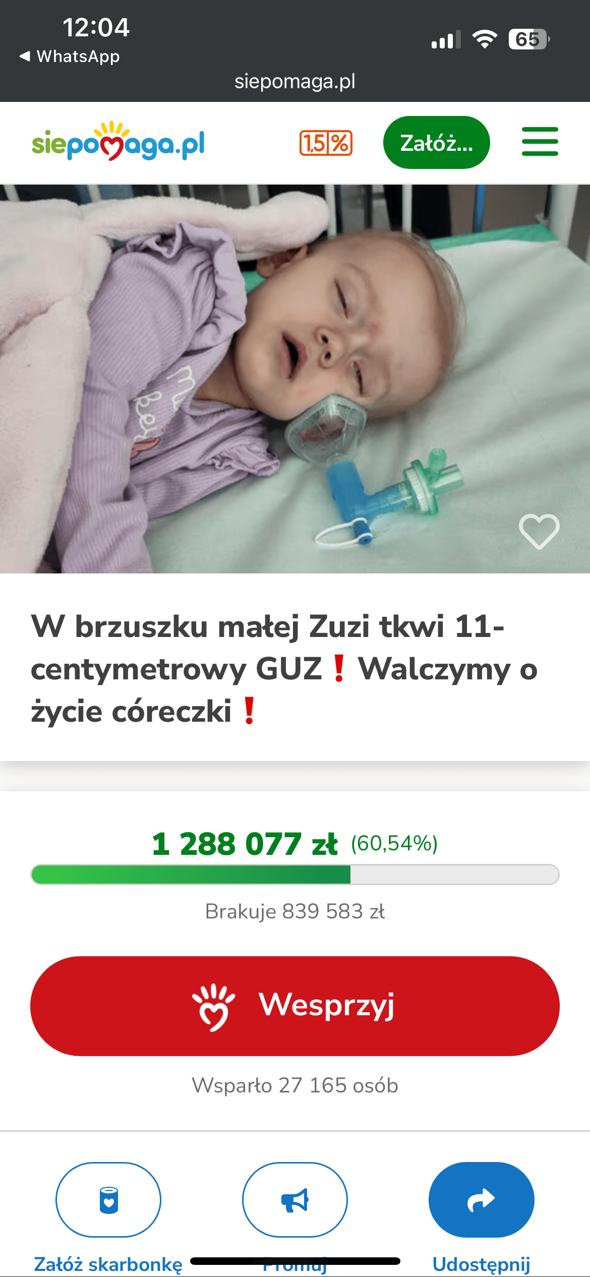 Zdjęcie główne wgrane przez użytkownika