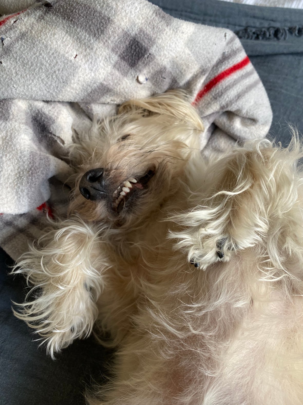 Main photo uploaded by the user