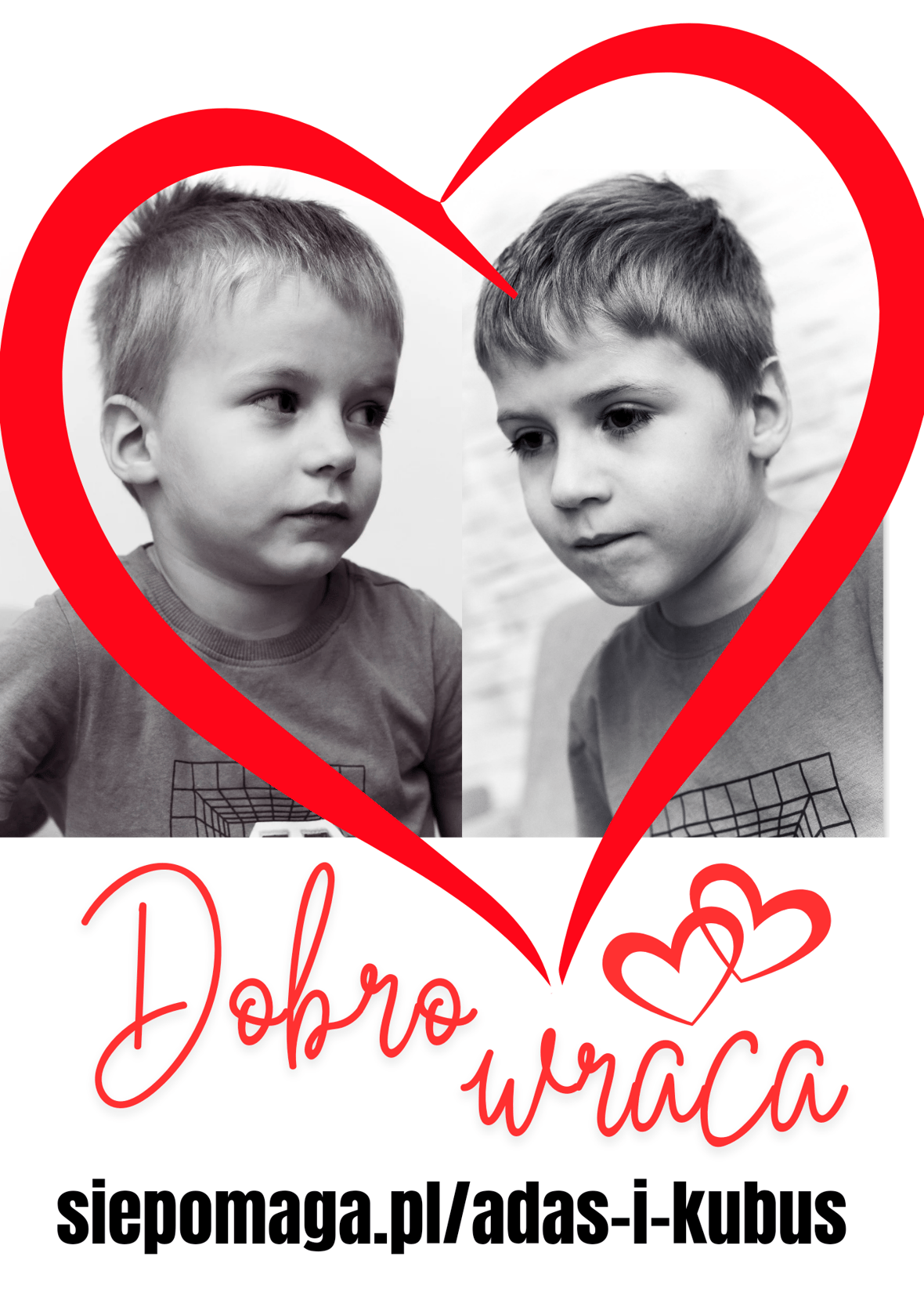 Main photo uploaded by the user