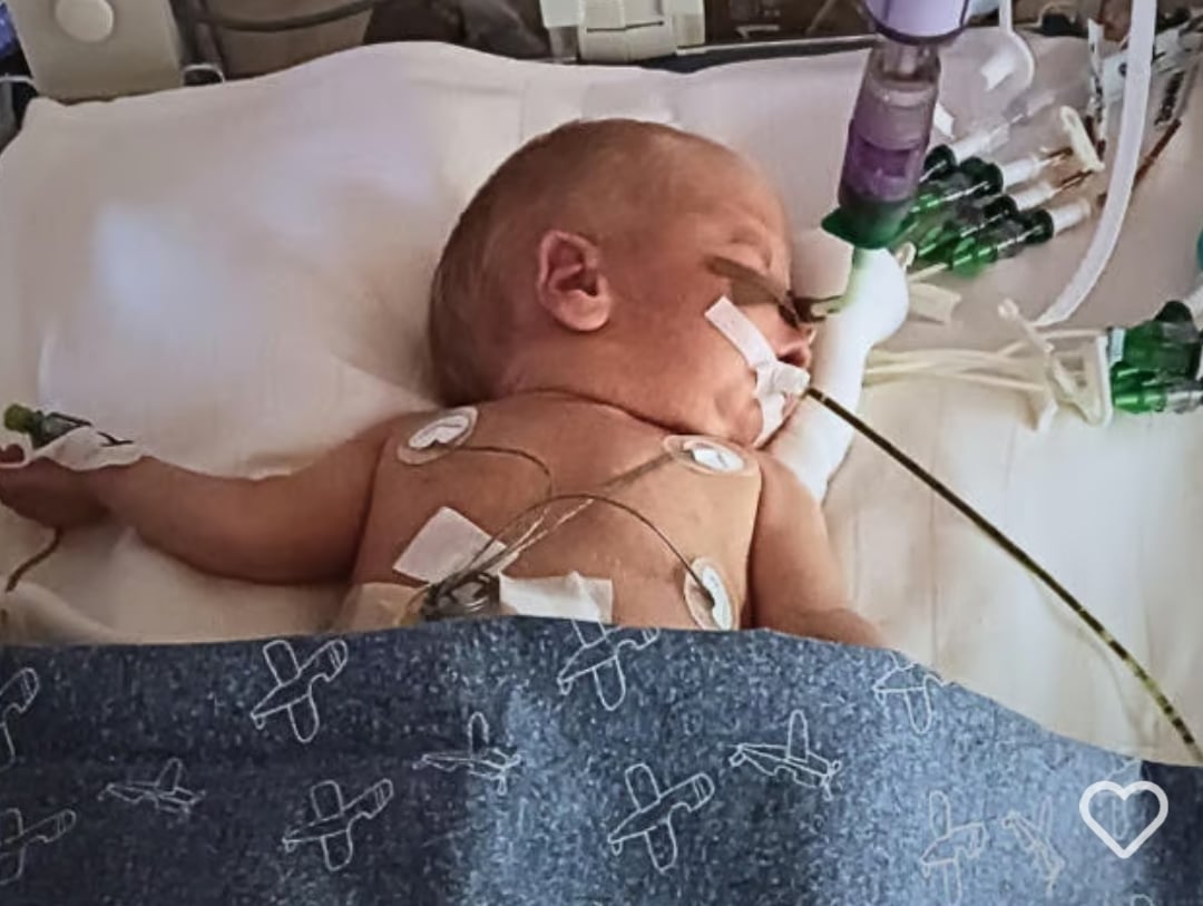 Main photo uploaded by the user