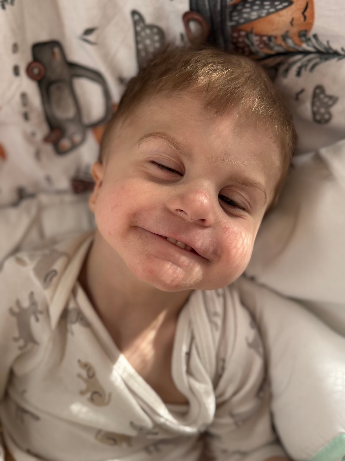 Main photo uploaded by the user