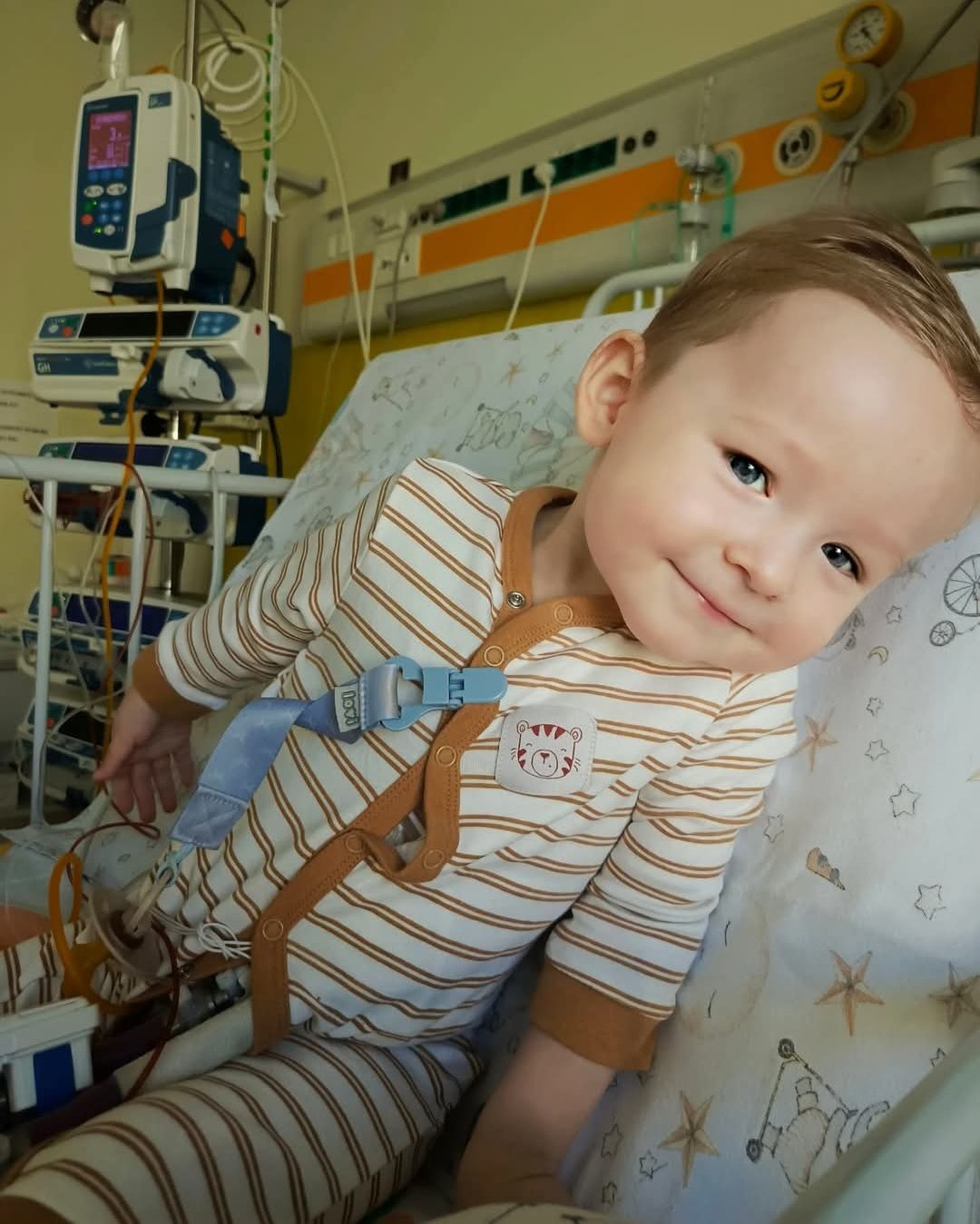 Zdjęcie główne wgrane przez użytkownika