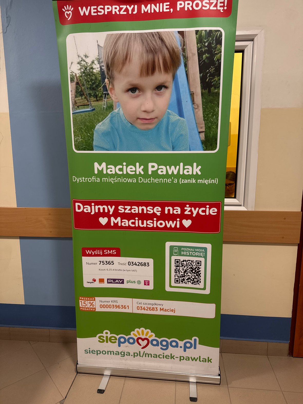 Zdjęcie główne wgrane przez użytkownika