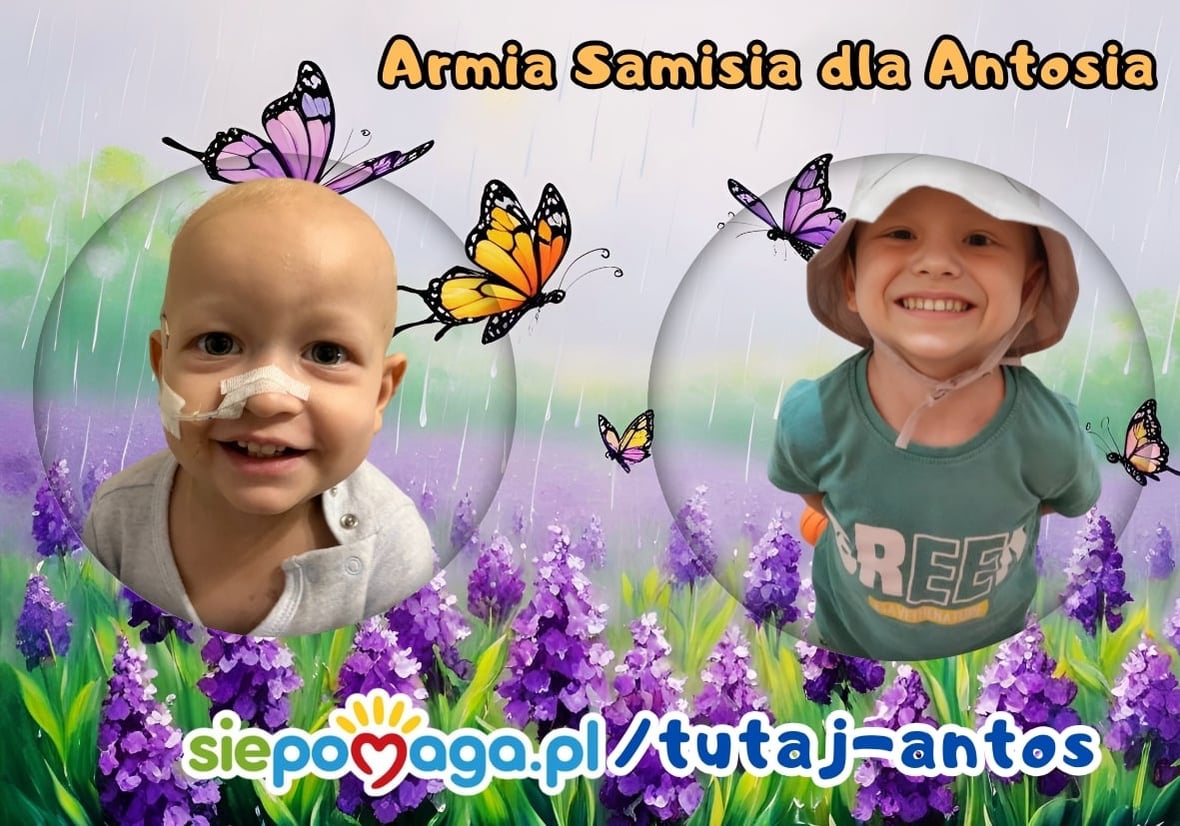 Zdjęcie główne wgrane przez użytkownika