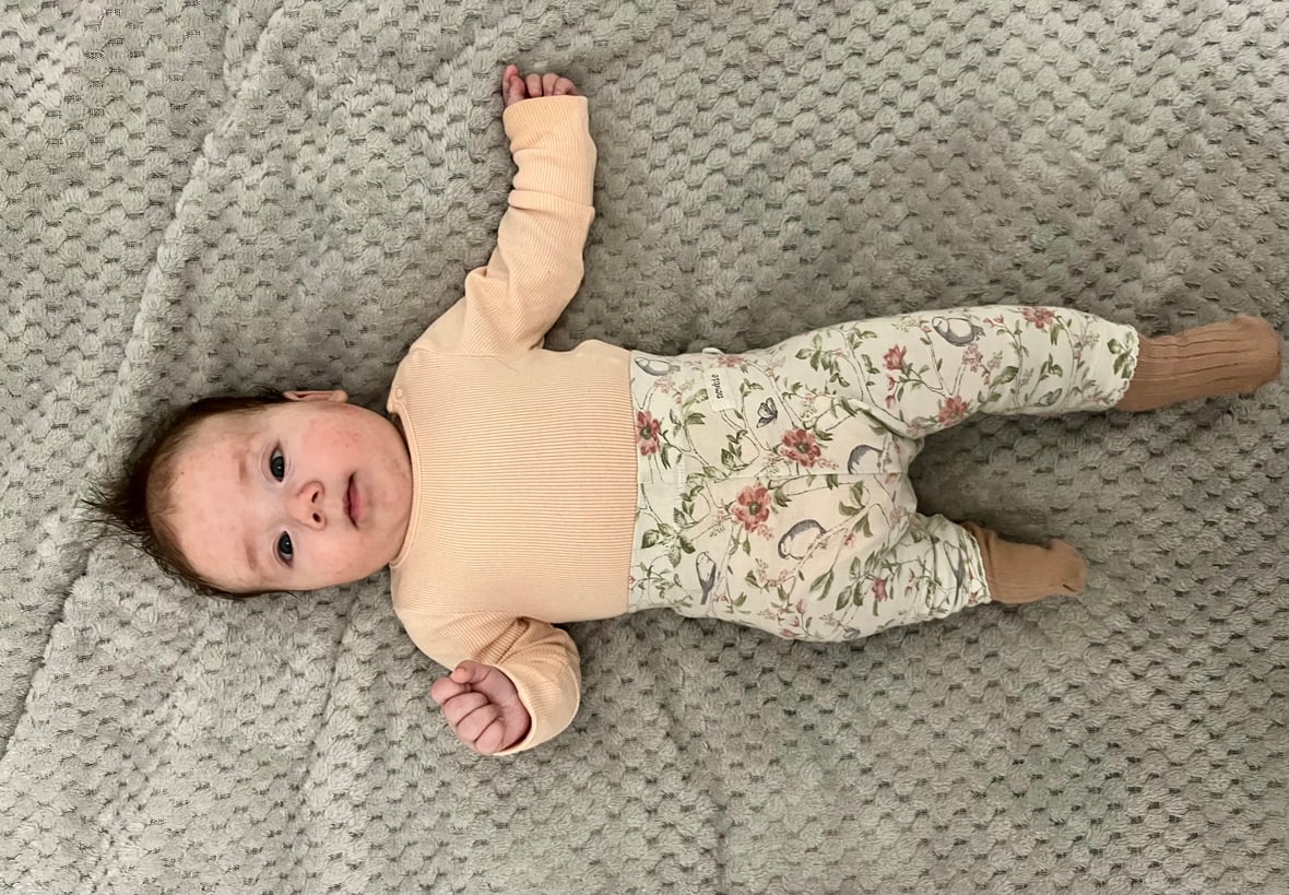 Zdjęcie główne wgrane przez użytkownika