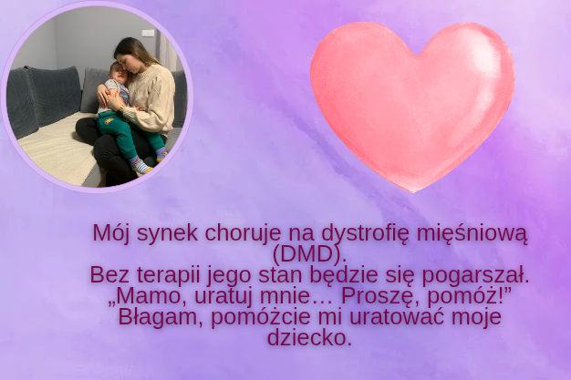 Zdjęcie główne wgrane przez użytkownika