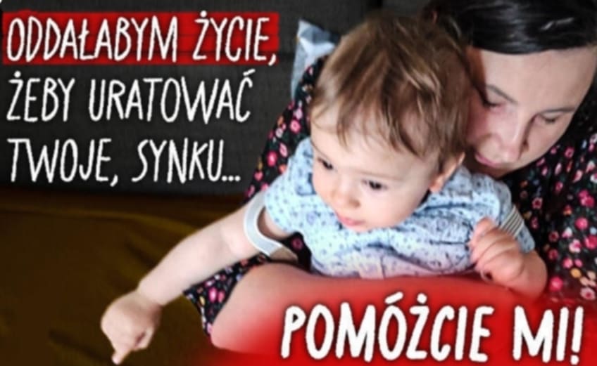 Zdjęcie główne wgrane przez użytkownika