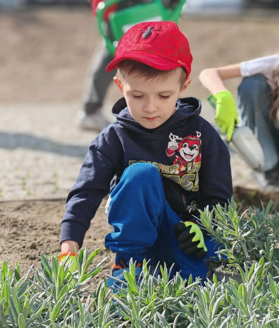 Zdjęcie główne wgrane przez użytkownika