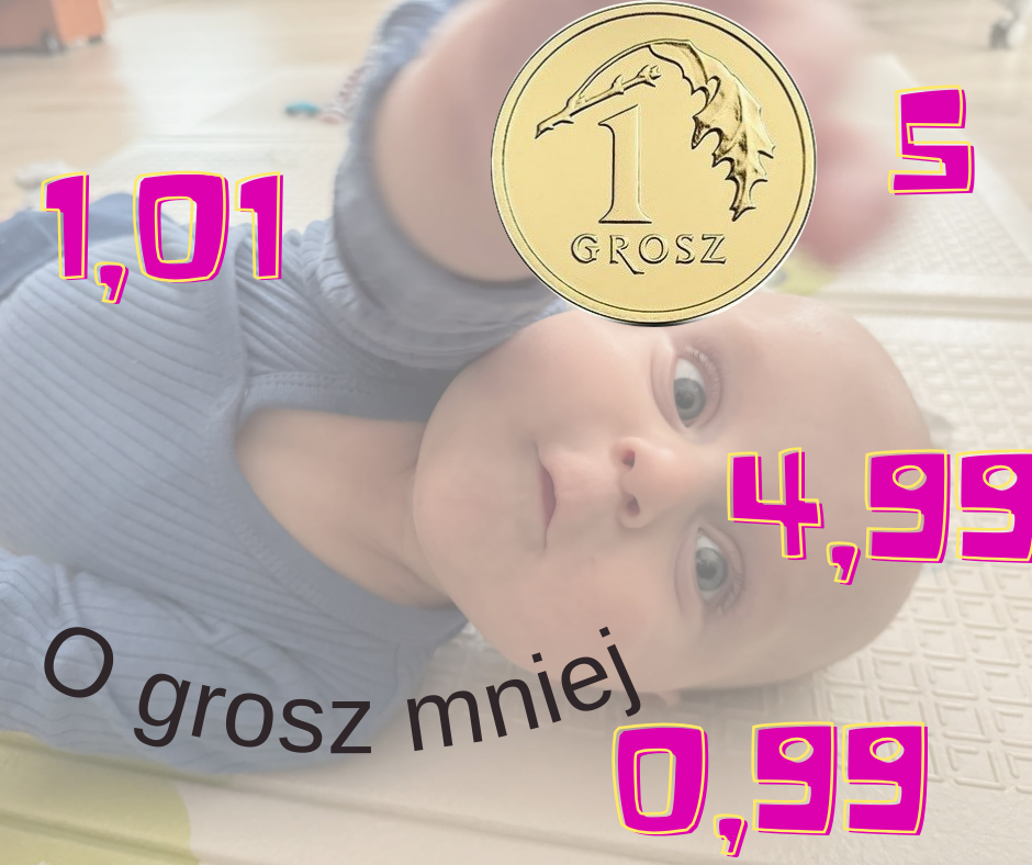 Zdjęcie główne wgrane przez użytkownika