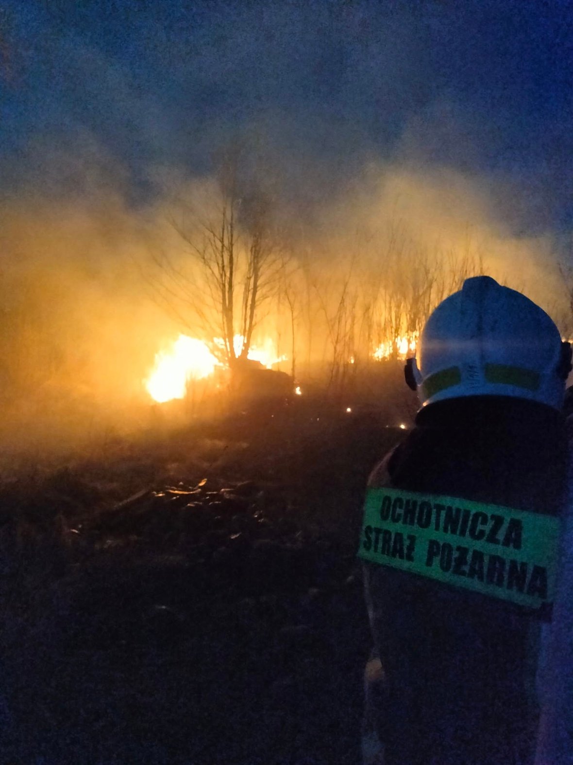 Zdjęcie główne wgrane przez użytkownika