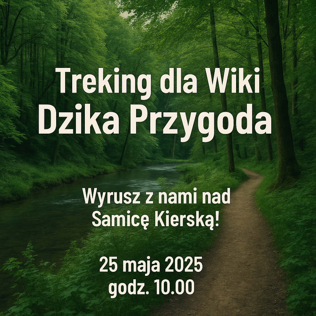 Zdjęcie główne wgrane przez użytkownika