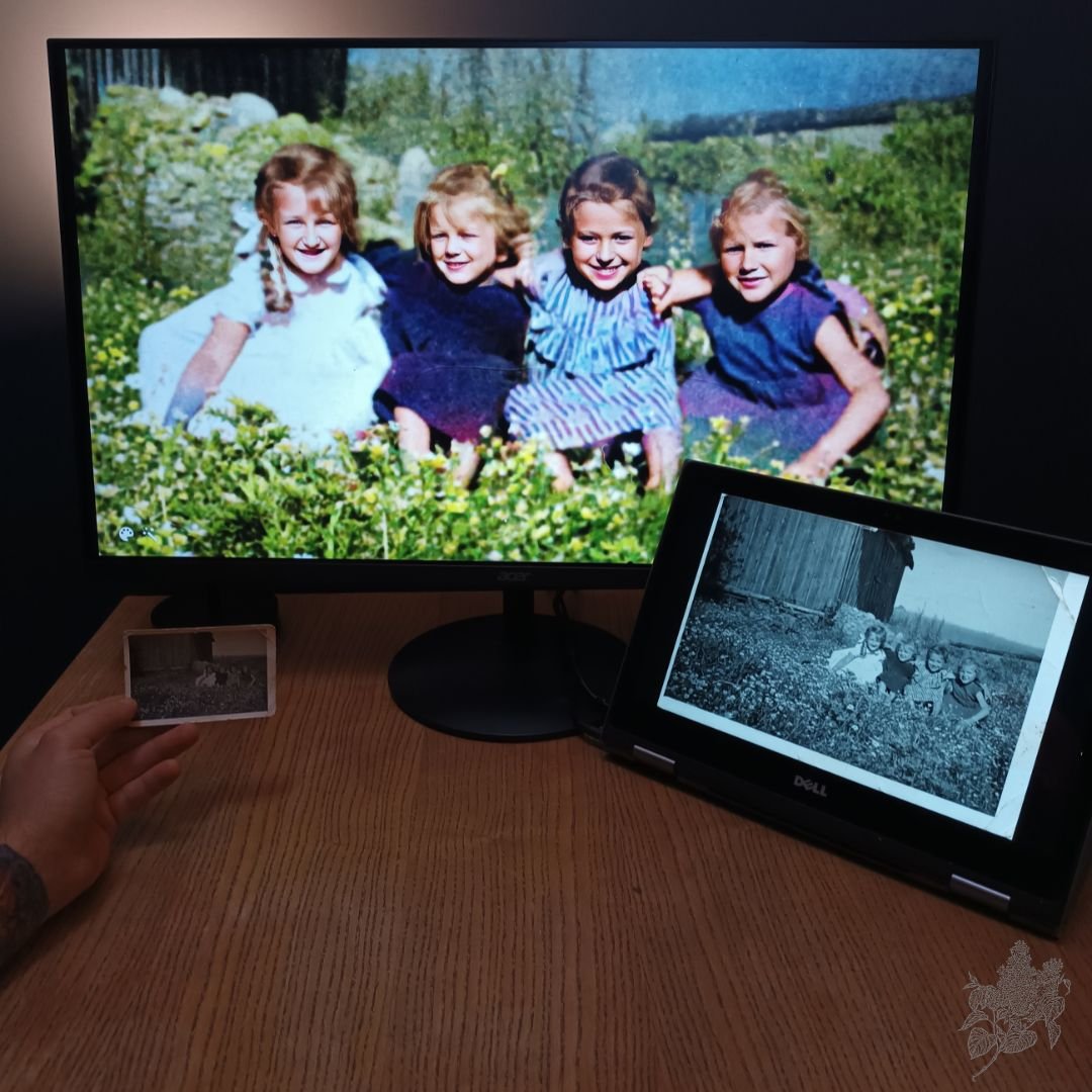 Zdjęcie główne wgrane przez użytkownika