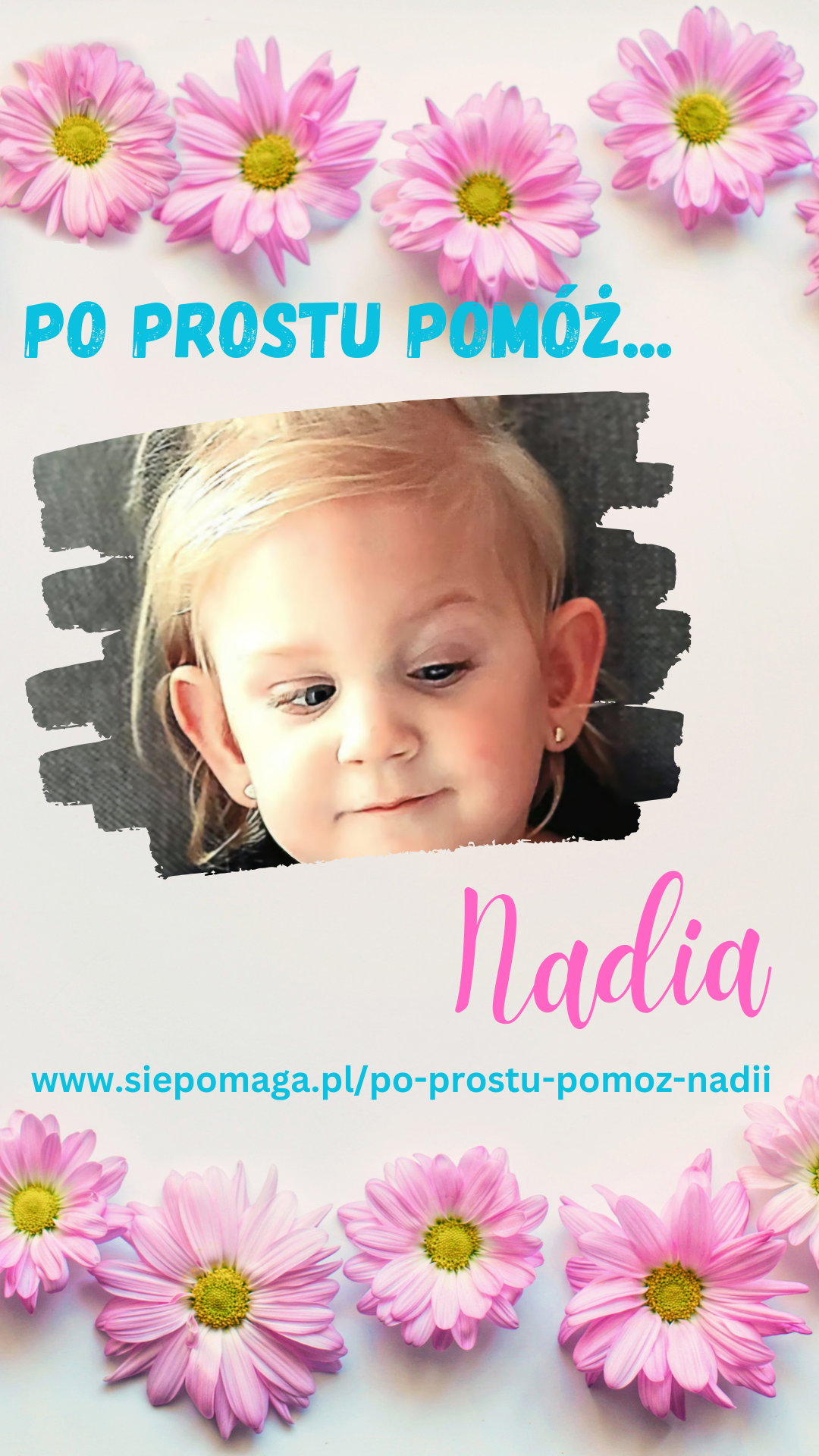 Main photo uploaded by the user